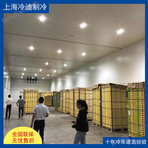 食品廠大型冷庫的安裝造價、設(shè)計與軟件開發(fā)全解析